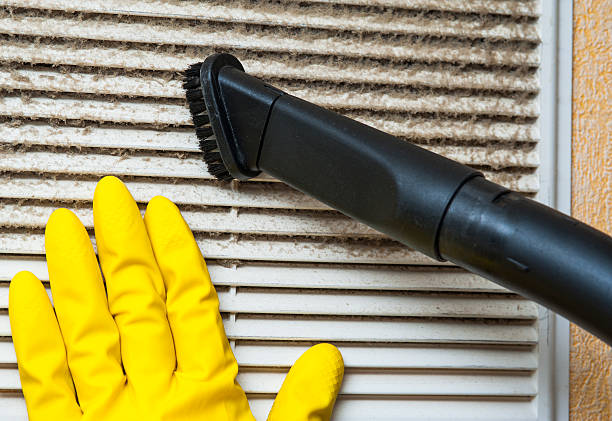 Best Local Air Duct Cleaning Services  in Lauderhill, FL